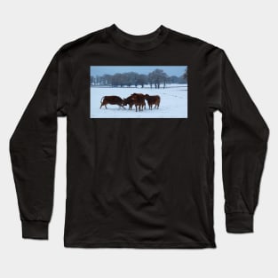 Cows in the Snow Long Sleeve T-Shirt